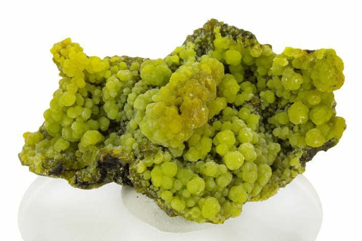 Apple-Green Botryoidal Pyromorphite on Matrix - Congo #335207